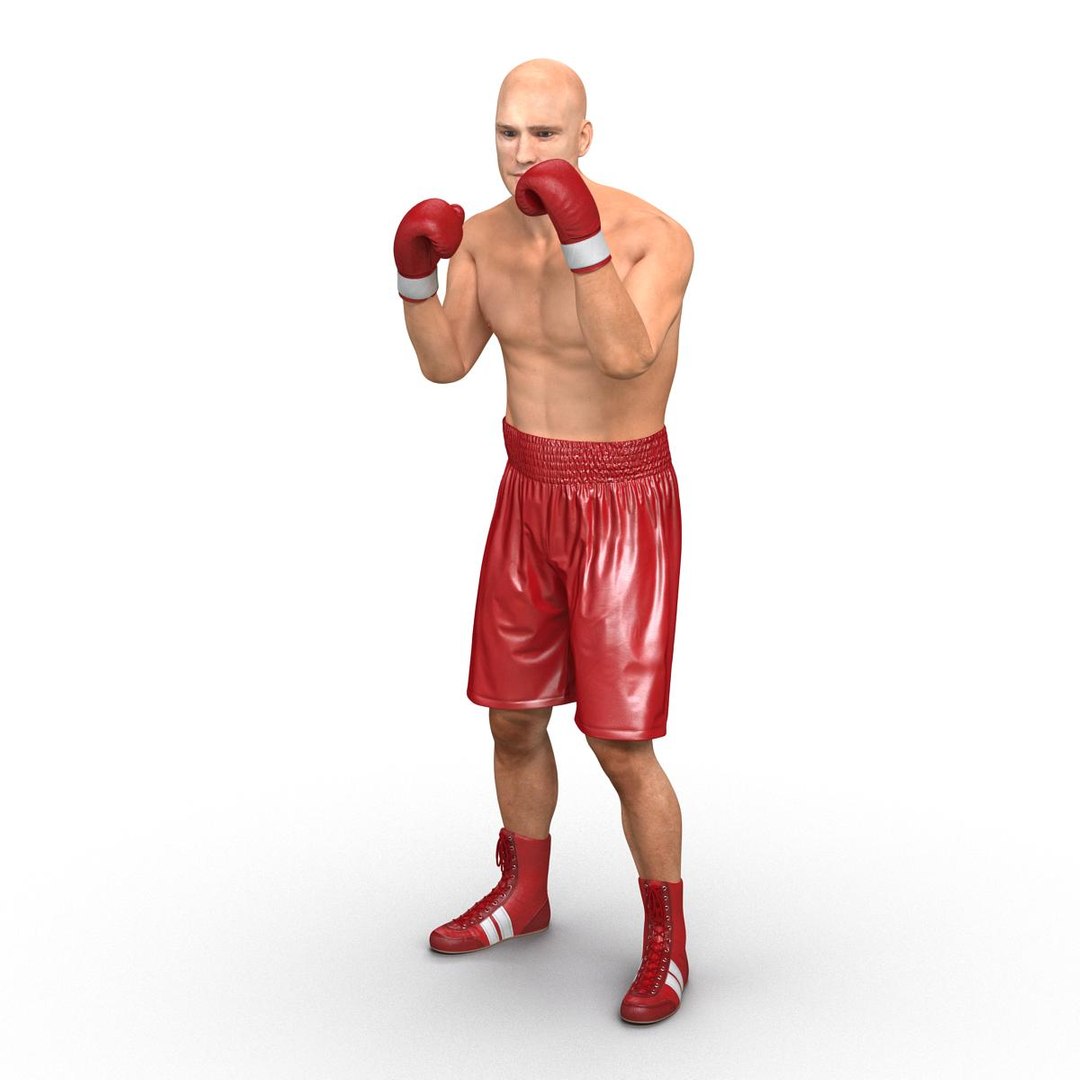 3d model of boxer man rigged