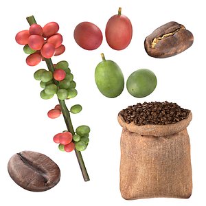 3D Coffee Bean set model