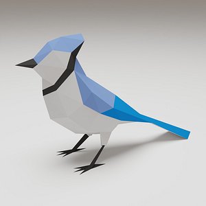 Bird - Blue Jay 3D model