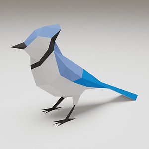 Bird - Blue Jay