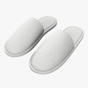 hotel slippers 3D model