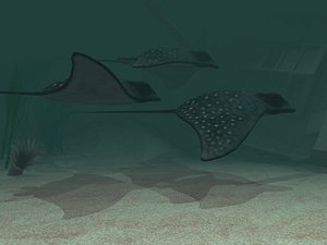 stingray fish 3d model