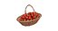 Collection Gros Fruits