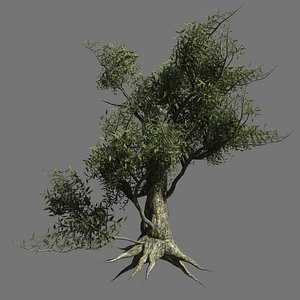 3ds max olive tree