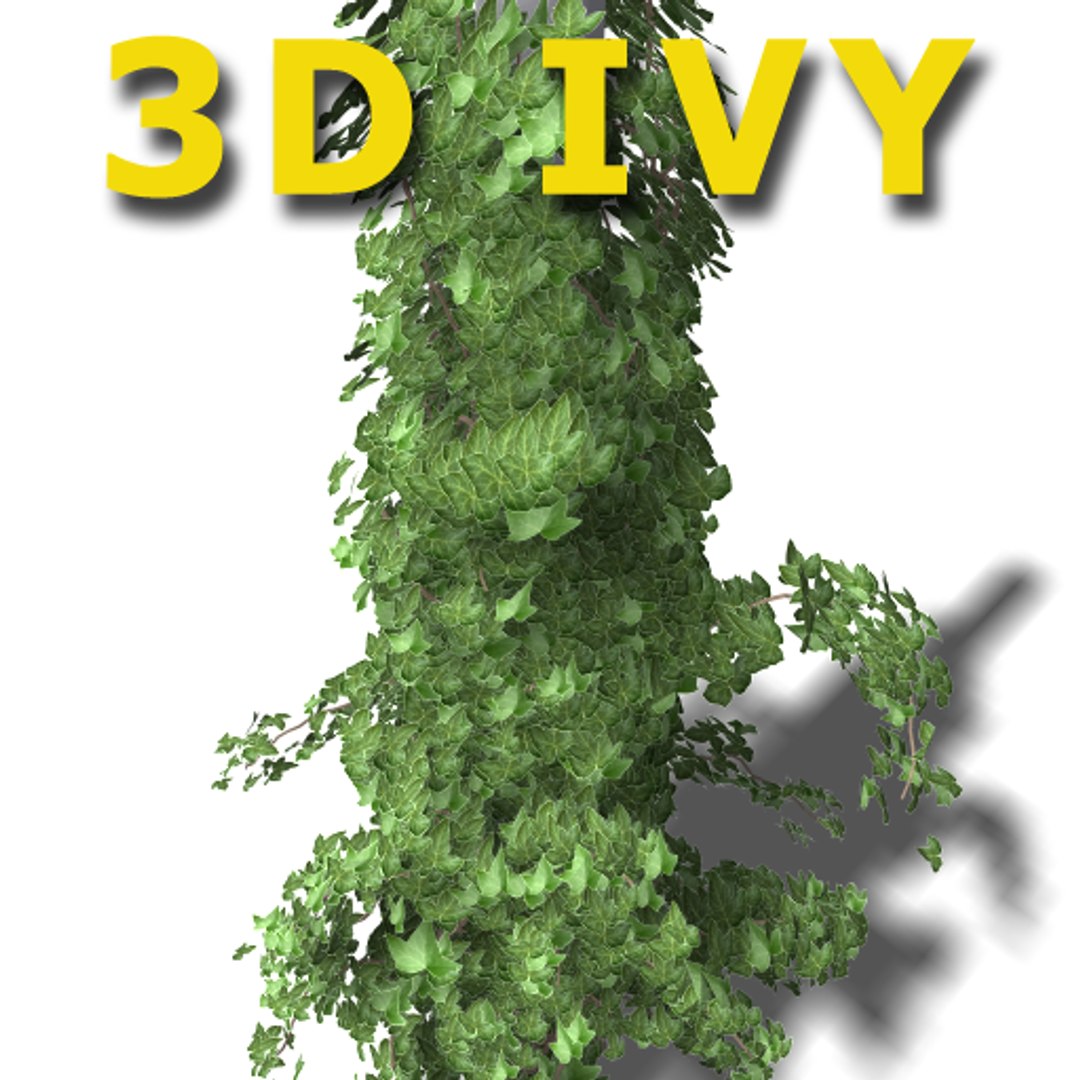 3d ivy columns https://p.turbosquid.com/ts-thumb/5h/UWEpkD/RyUg7hjD/ivy_08/png/1176811372/1920x1080/fit_q87/d746be891bf585b87542cdc7fa40334a2ea014e5/ivy_08.jpg