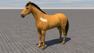 Cavalo realista e RIGGED Modelo 3D $199 - .max - Free3D