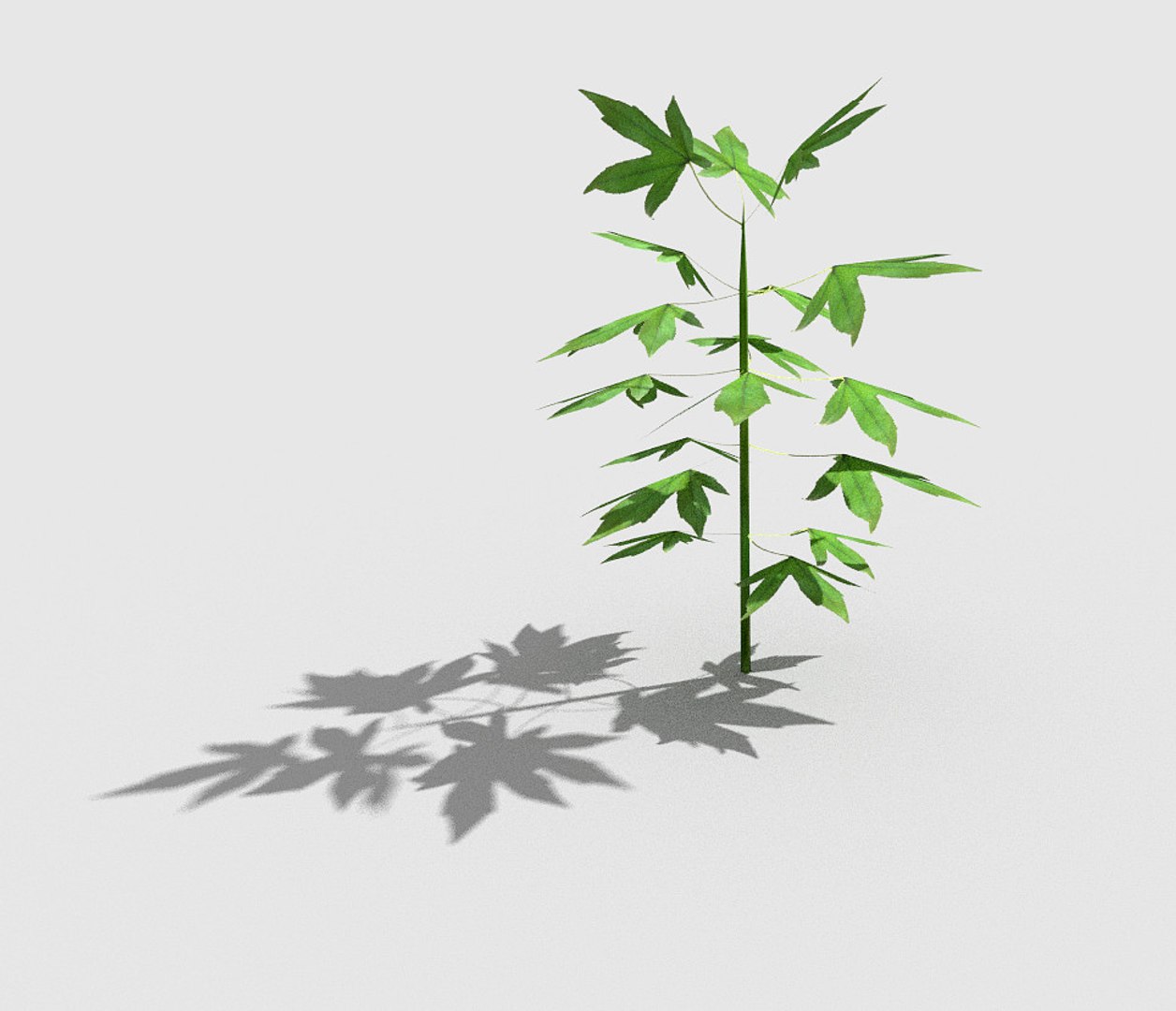 3d plant https://p.turbosquid.com/ts-thumb/5h/cLMCxT/7EgAEd67/3/jpg/1485507338/1920x1080/fit_q87/d80f2bad029536eb46424ab6d54f044345019120/3.jpg