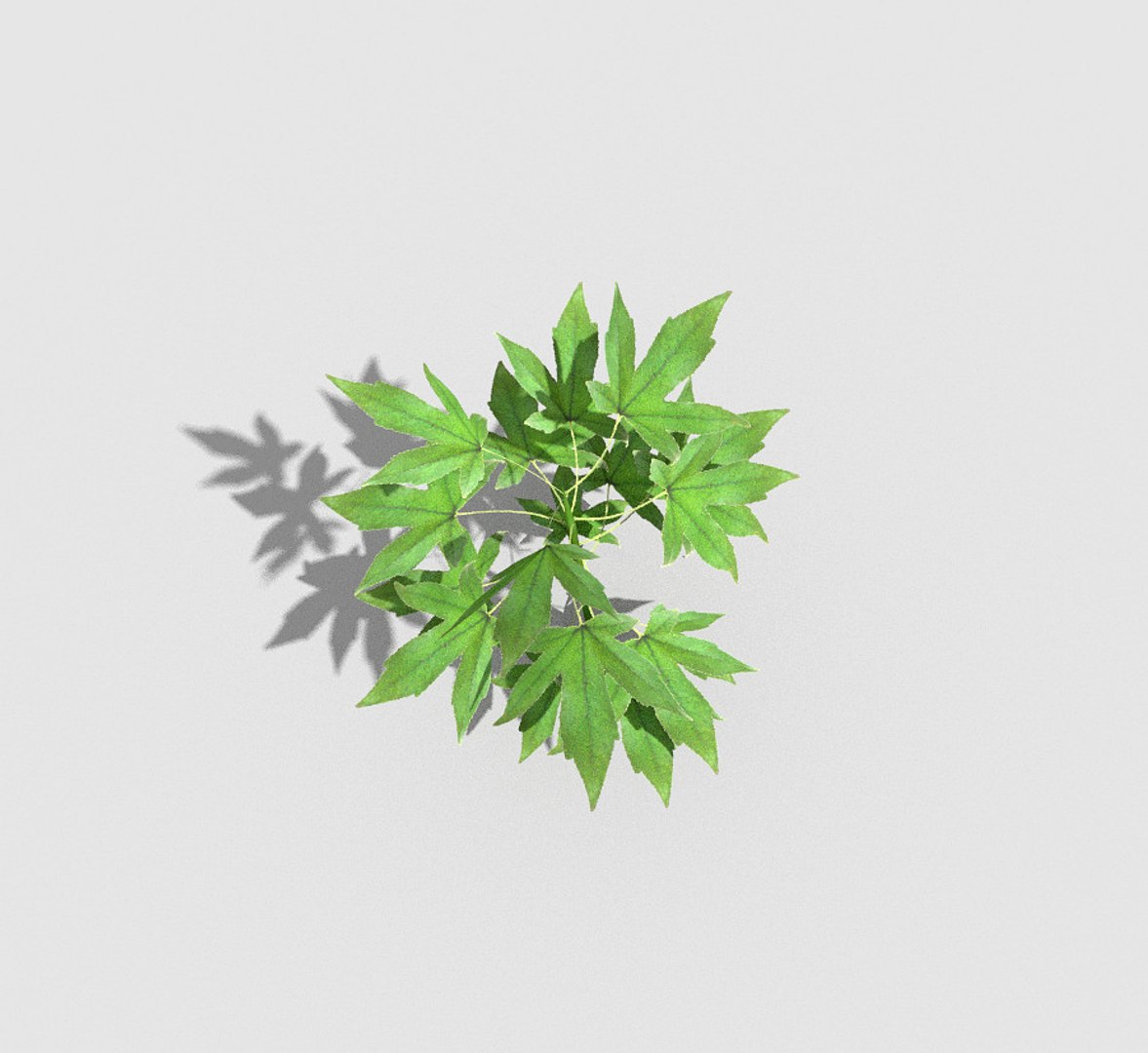 3d plant https://p.turbosquid.com/ts-thumb/5h/cLMCxT/Ucb1fFUZ/4/jpg/1485507338/1920x1080/fit_q87/4698a783dd27502847886be8f872bad777a90ce2/4.jpg