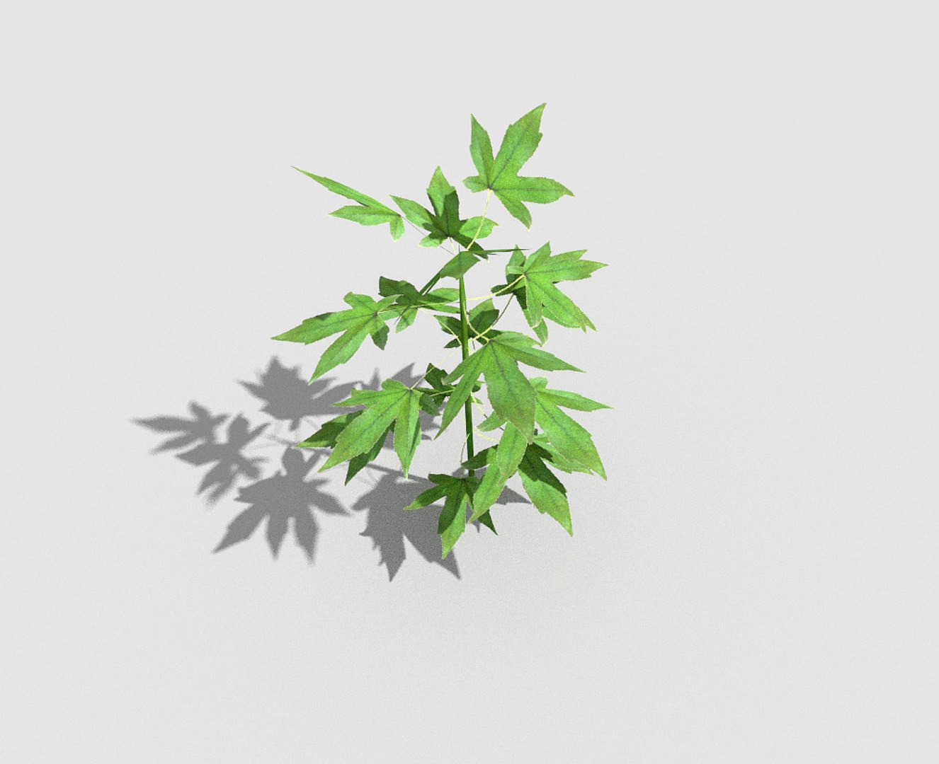 3d plant https://p.turbosquid.com/ts-thumb/5h/cLMCxT/Wg0Of62l/2/jpg/1485507338/1920x1080/fit_q87/65c8f3ed46044b467288cf1b6230902bf9be0728/2.jpg