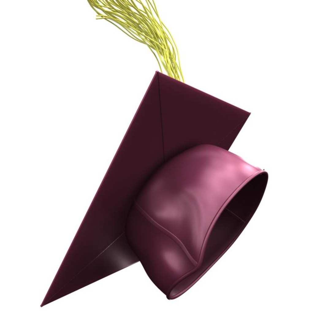 graduation cap 3d model https://p.turbosquid.com/ts-thumb/5h/d2fydt/zGk28OAT/gradcap3/jpg/1178246223/1920x1080/fit_q87/3df44c4401049eaa157777e4e53596595706d5dc/gradcap3.jpg
