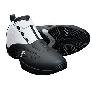 3D Reebok Answer-4 Sneaker PBR Model 2 model