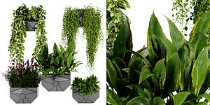 Collection plant vol 501 - blender 3D model