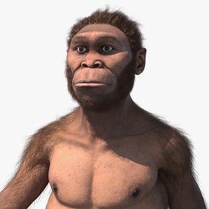Homo Habilis Walking Pose Fur 3D