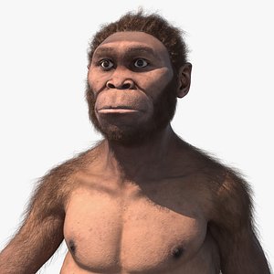 Homo Habilis Walking Pose Fur