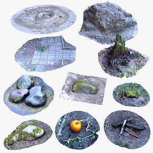 Photoscanned Nature-10 Assets 3D model
