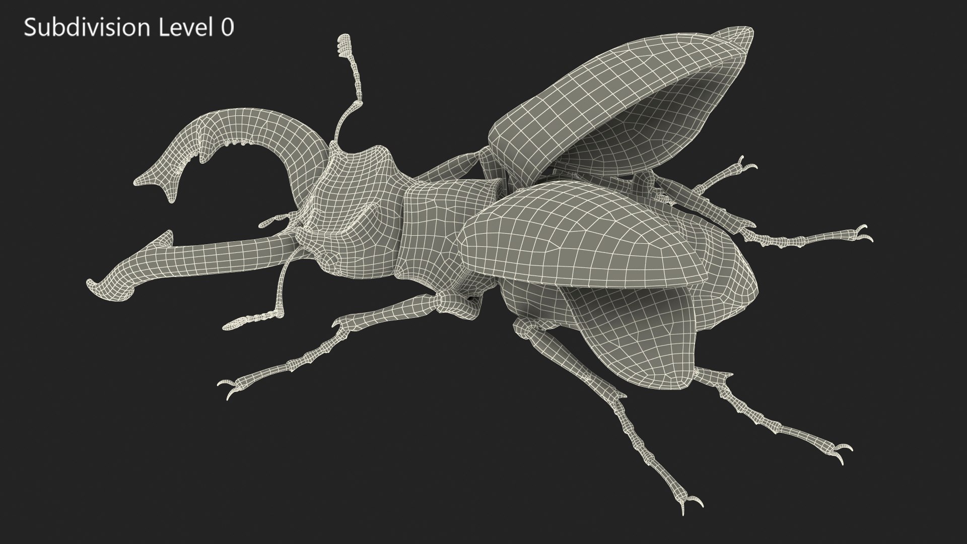 lucanus cervus stag beetle 3D model https://p.turbosquid.com/ts-thumb/5i/JTlDq9/VuCdo1HY/lucanuscervusstagbeetlemb3dmodel017/jpg/1581966720/1920x1080/fit_q87/8cc07909f53a3503c902bced8f31179daddc6537/lucanuscervusstagbeetlemb3dmodel017.jpg