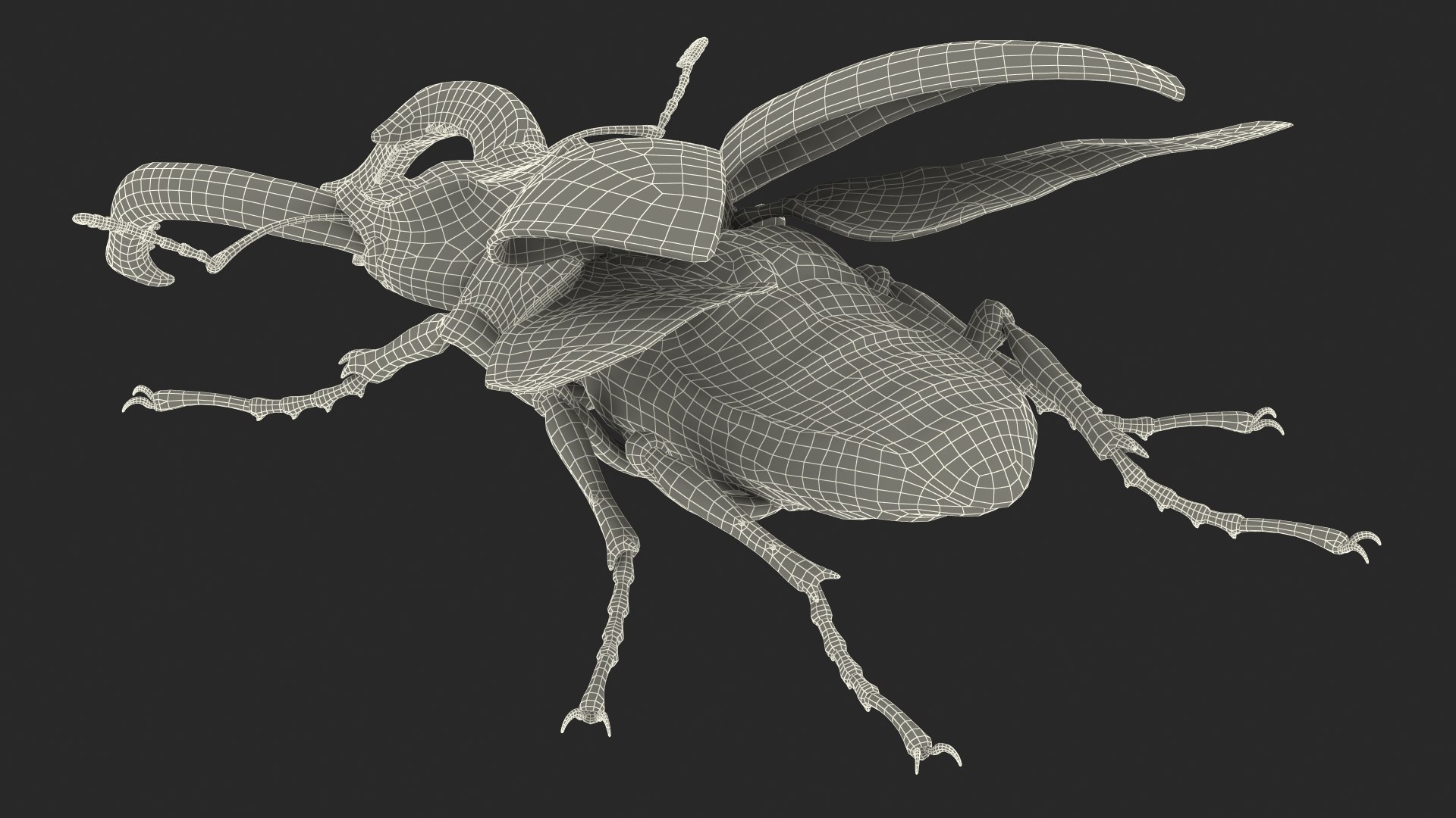 lucanus cervus stag beetle 3D model https://p.turbosquid.com/ts-thumb/5i/JTlDq9/p11ERiWO/lucanuscervusstagbeetlemb3dmodel025/jpg/1581966783/1920x1080/fit_q87/8bca519acefa930b3210ae003452cc8bc2772a08/lucanuscervusstagbeetlemb3dmodel025.jpg