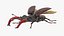 lucanus cervus stag beetle 3D model