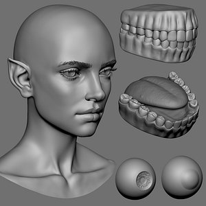 Female head basemesh