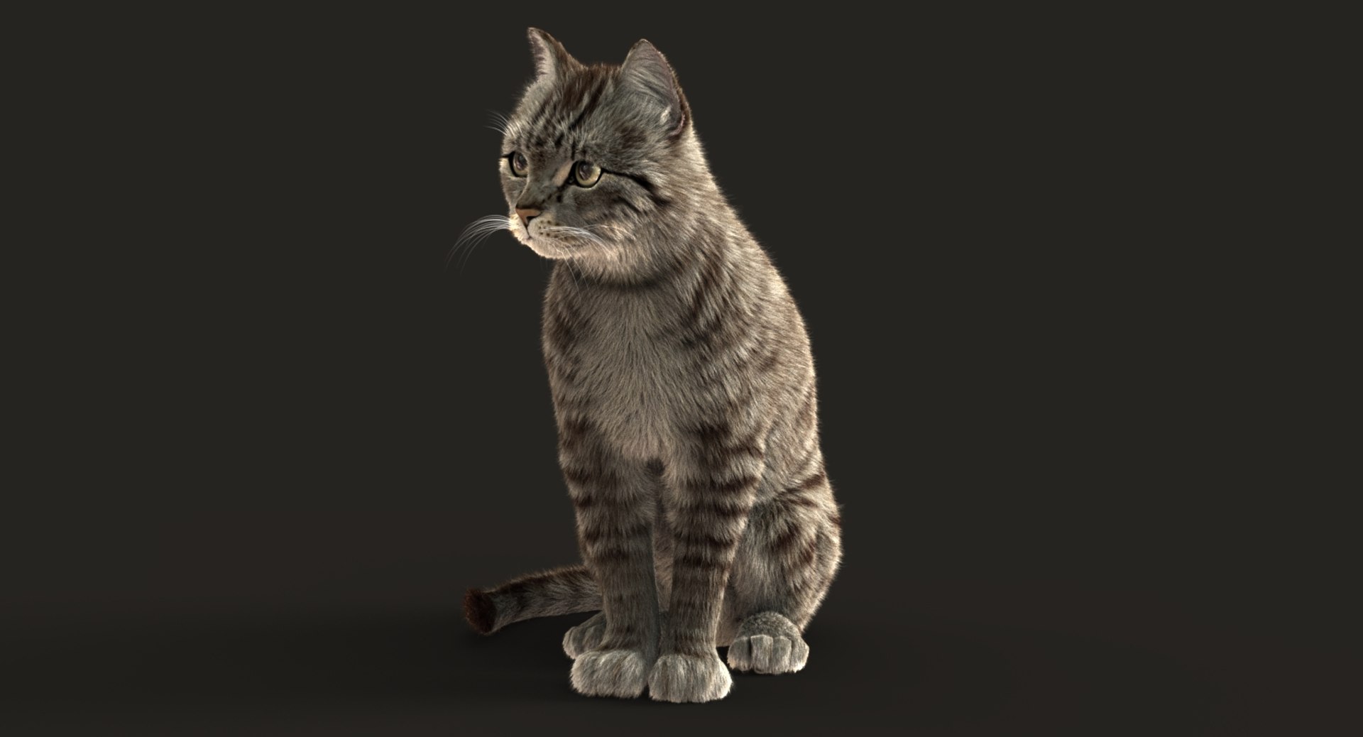 3D cat animation https://p.turbosquid.com/ts-thumb/5i/URL6KR/5UQfQsxn/sig01/jpg/1536821920/1920x1080/fit_q87/96f19fd93bd5a9a823b8ed5ff23a80c628b28037/sig01.jpg