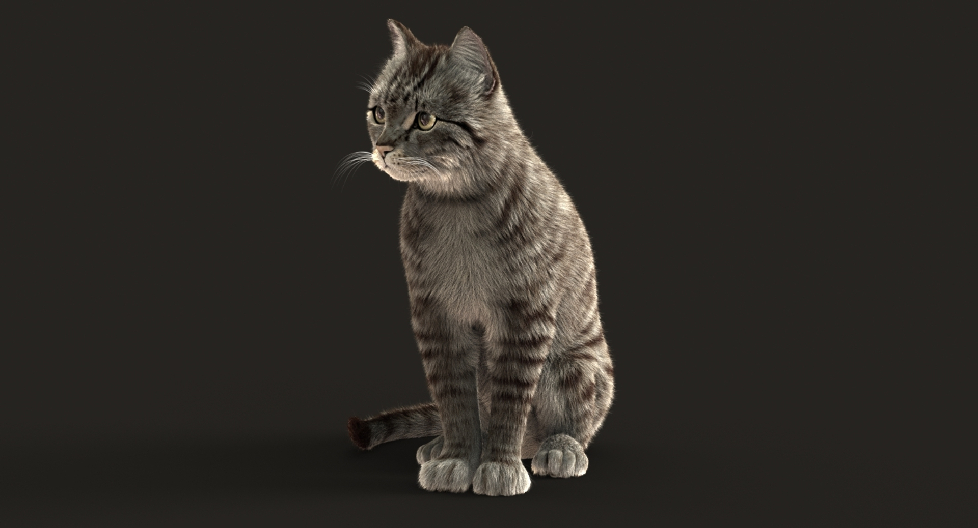 3D cat animation https://p.turbosquid.com/ts-thumb/5i/URL6KR/KcCThovJ/turn/jpg/1536823966/1920x1080/turn_fit_q99/e58c78e1443c085da668f2501bb46d13191574c4/turn-1.jpg