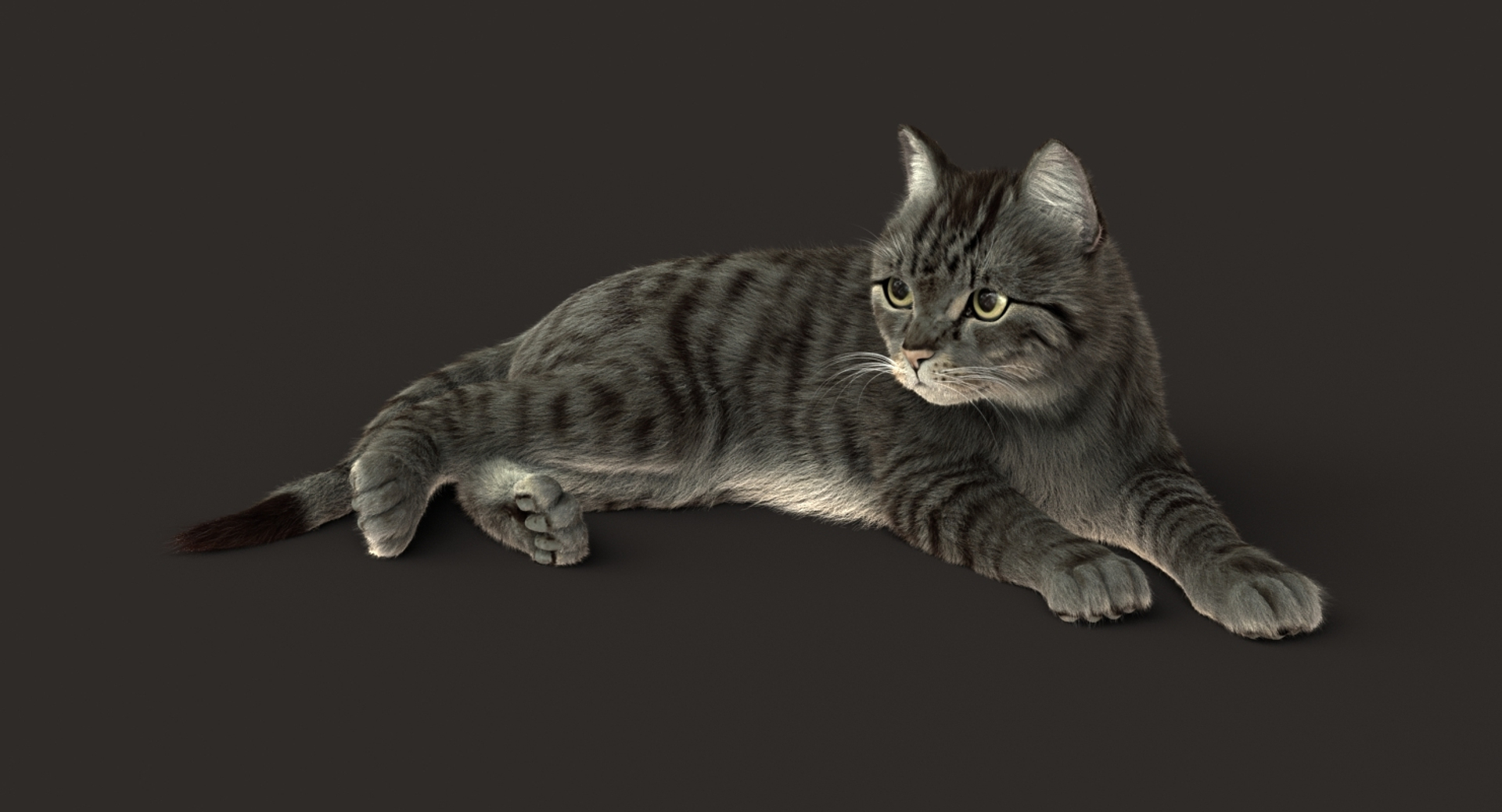 3D cat animation https://p.turbosquid.com/ts-thumb/5i/URL6KR/SxtRCIad/turn/jpg/1536824003/1920x1080/turn_fit_q99/2c42397539e78b4ba5b1c1766a84de45b07b1ae6/turn-1.jpg