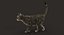 Cat (2) (Grey Tabby) (ANIMATED) (FUR)