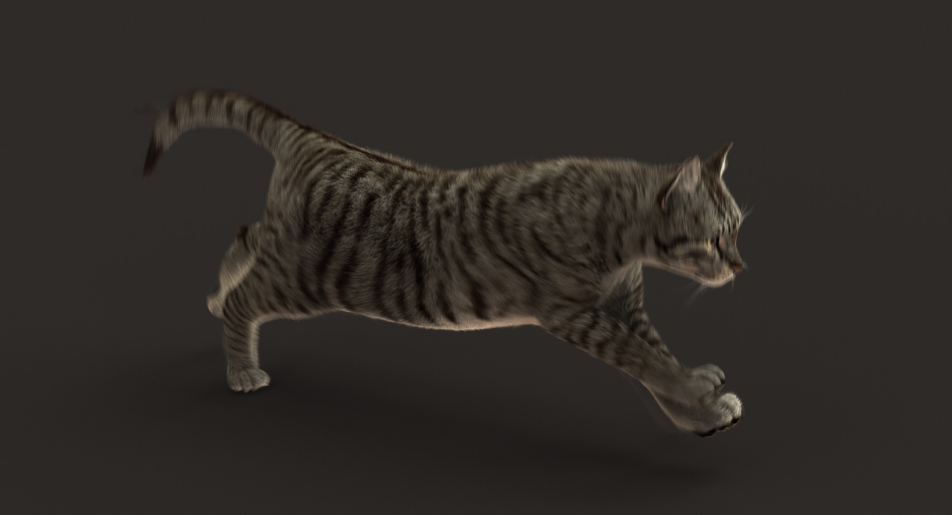 3D cat animation https://p.turbosquid.com/ts-thumb/5i/URL6KR/lbbifjNb/run/jpg/1536824041/1920x1080/turn_fit_q99/195a5e82c098527ca8bc36b524a77aea1b9f5739/run-1.jpg