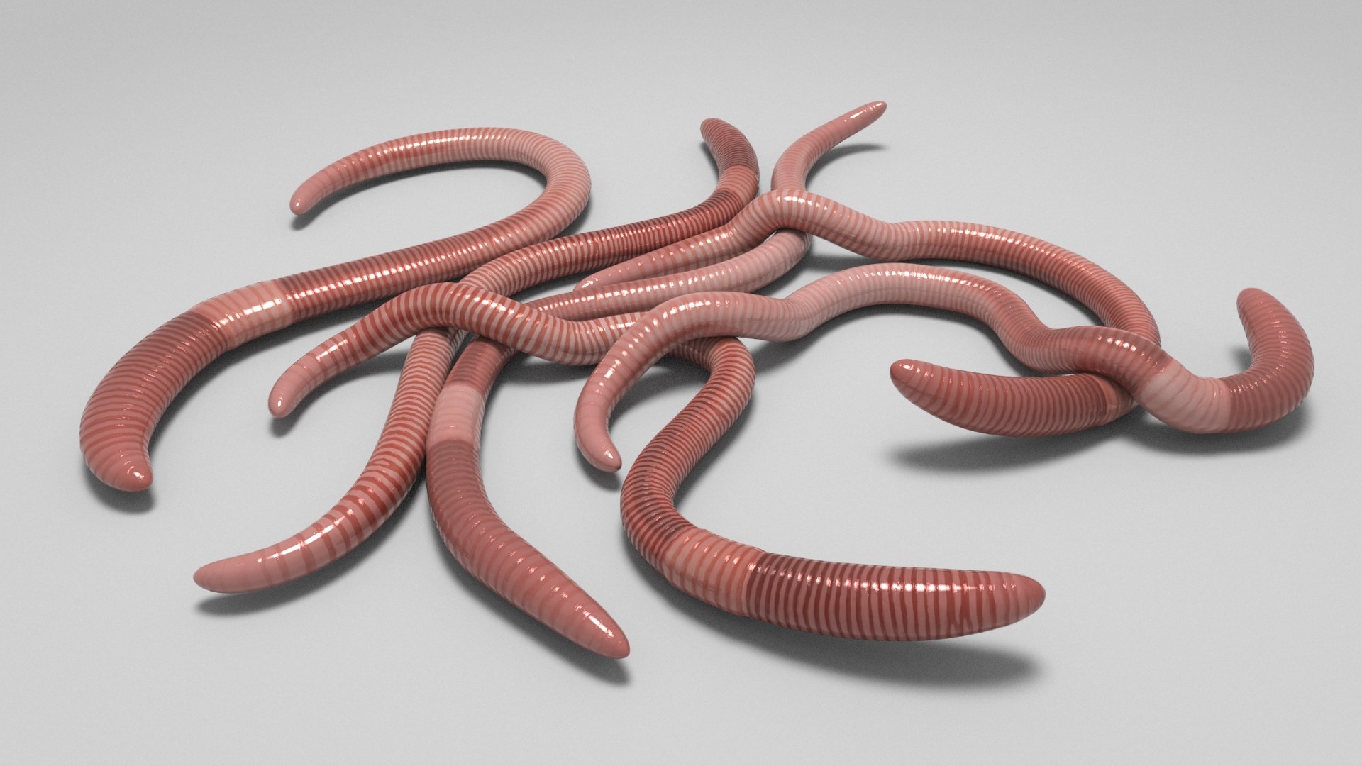 Worms 3D Model - TurboSquid 1988278