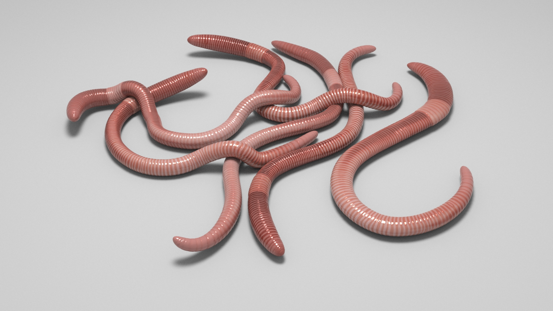 Worms 3D Model - TurboSquid 1988278