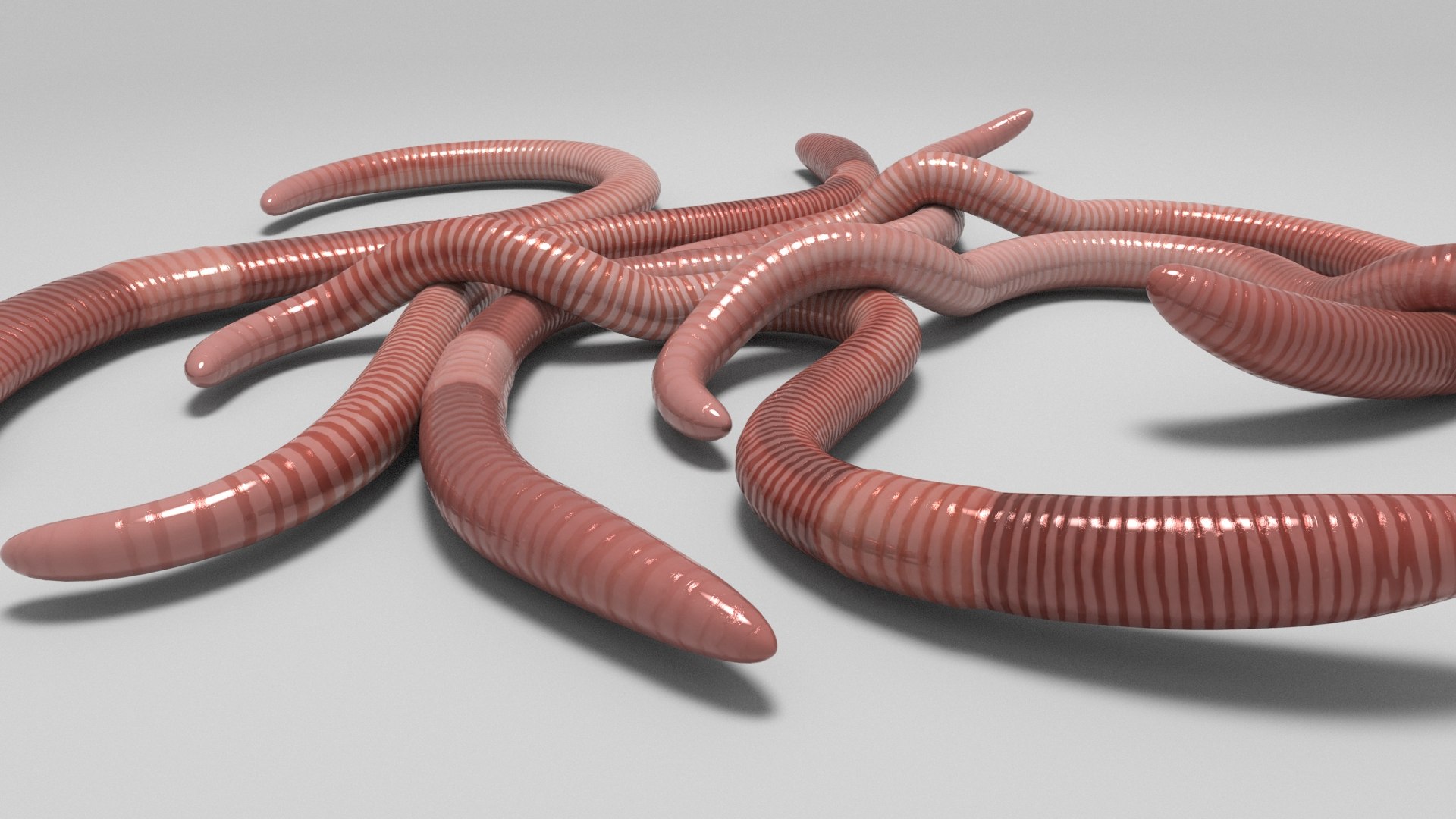 Worms 3D Model - TurboSquid 1988278