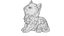Cat kitty  for  printing