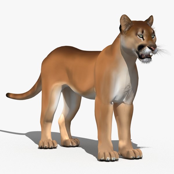 cougar cartoon puma 3d model