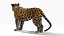 Jaguar Rigged 3D