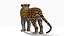 Jaguar Rigged 3D