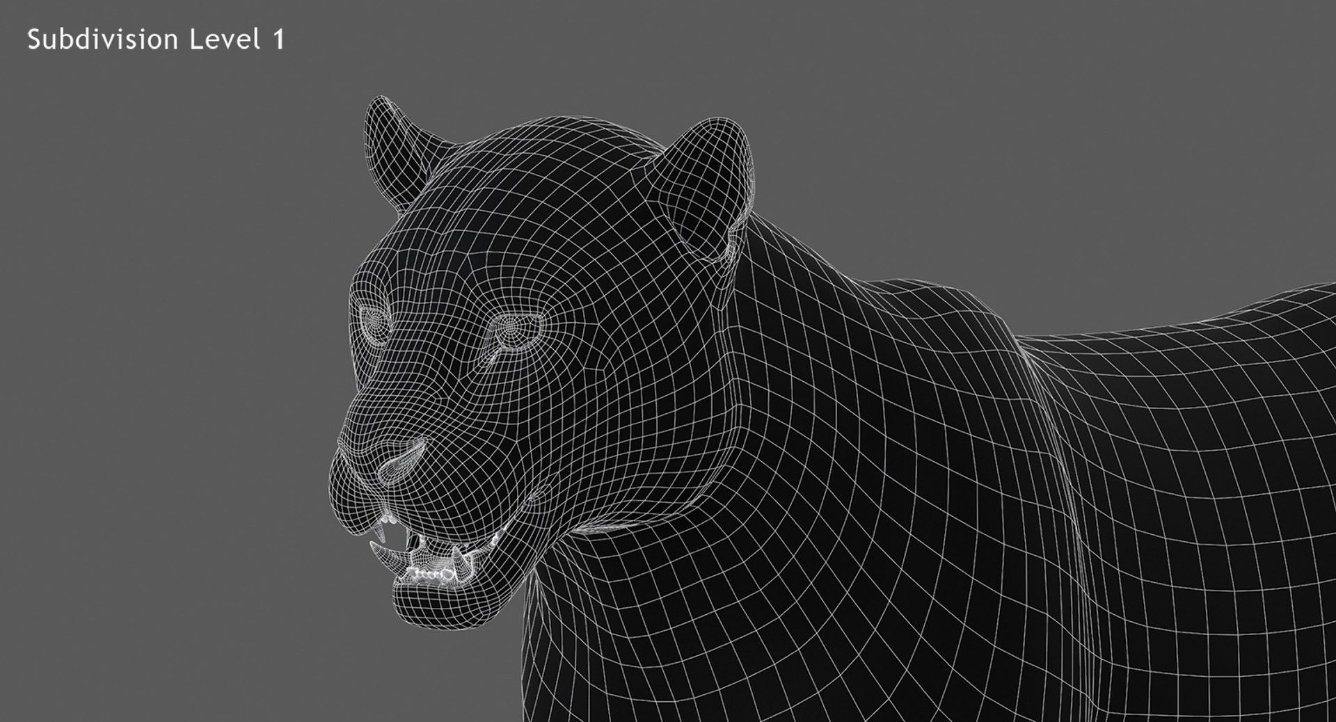 rigged scanline arnold 3D https://p.turbosquid.com/ts-thumb/5i/thlYsO/W2OegRxr/wireframejaguar3dmodel06/jpg/1573548032/1920x1080/fit_q87/1d268acf7d84ce32c4930388dd105ae3fcd202f2/wireframejaguar3dmodel06.jpg