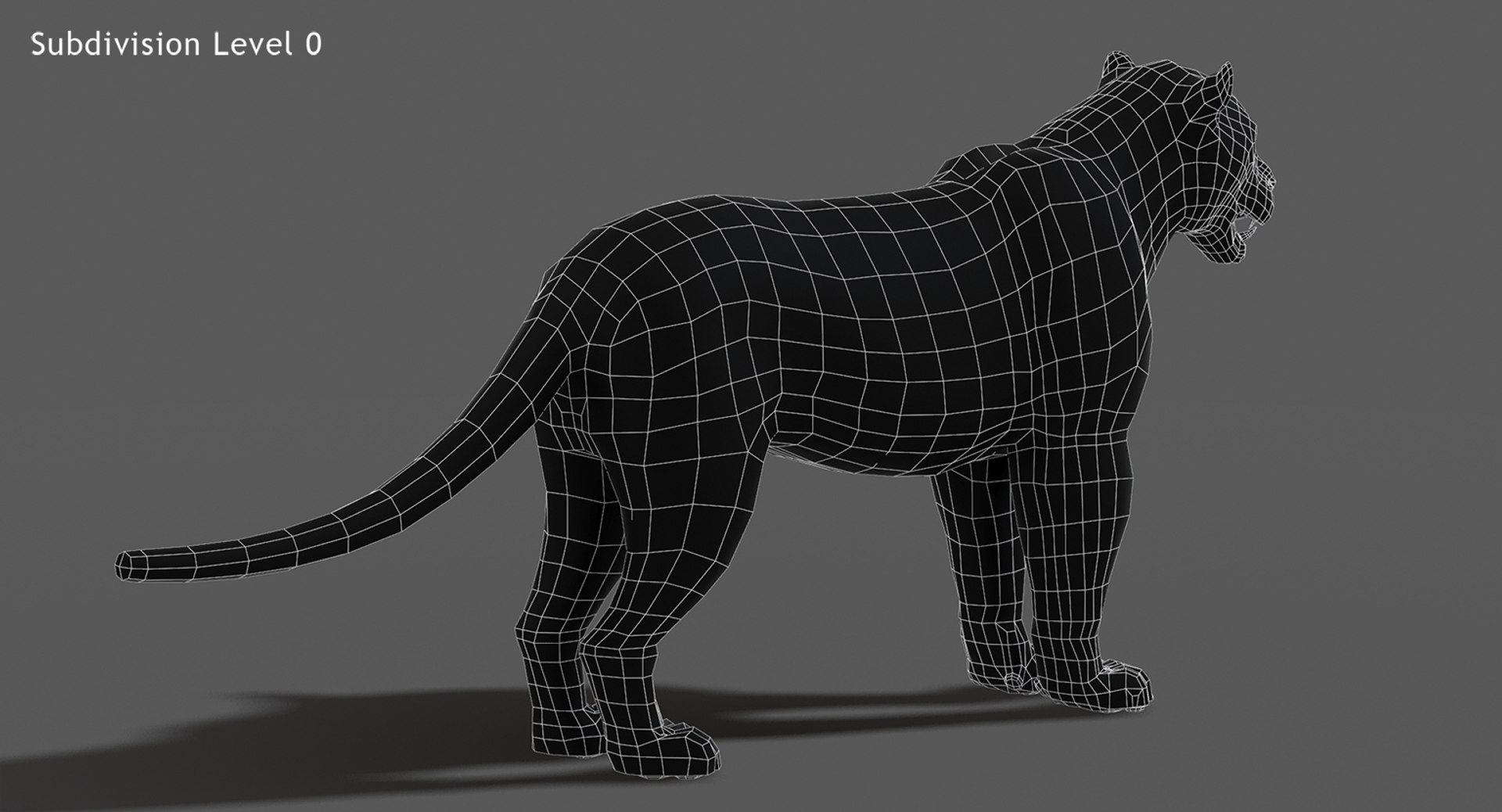rigged scanline arnold 3D https://p.turbosquid.com/ts-thumb/5i/thlYsO/reCzGkDq/wireframejaguar3dmodel03/jpg/1573548032/1920x1080/fit_q87/f25e7d48982a4fb3c94230a6d32046f879f84a80/wireframejaguar3dmodel03.jpg