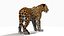 Jaguar Rigged 3D