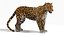 Jaguar Rigged 3D