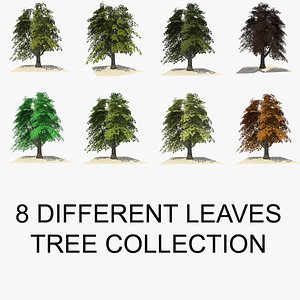 Low Poly Tree Collection 5
