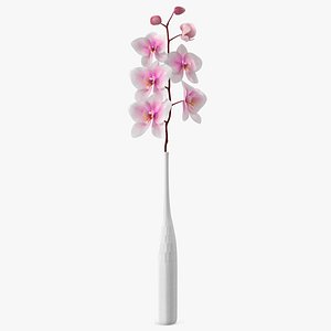 3D Tall Vase with Small Orchid Stem model