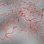 spiral bacteria