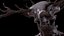 THE WENDIGO