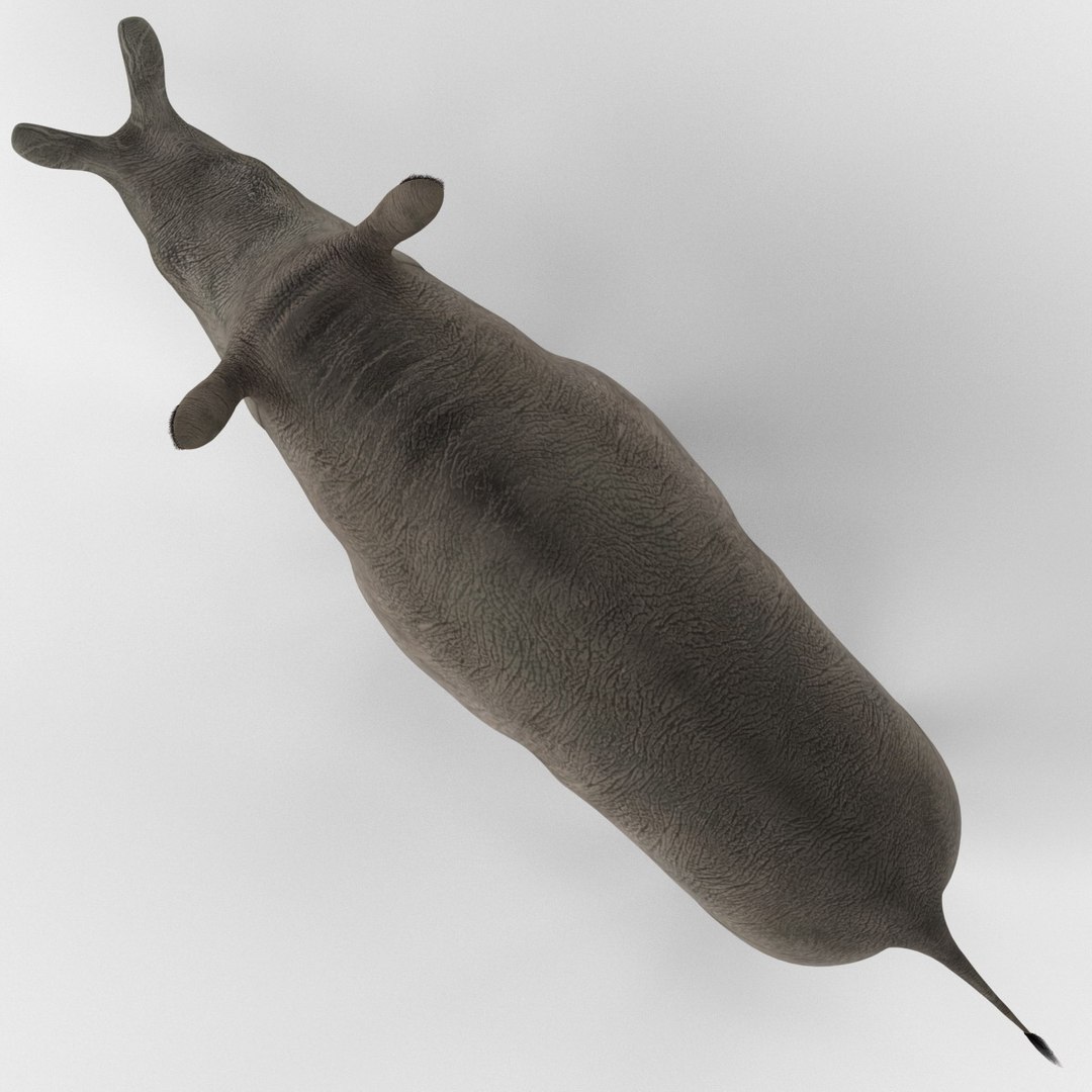 brontotherium 3ds https://p.turbosquid.com/ts-thumb/5j/PSEuxx/7Kyp5v6p/brontotherium_156/jpg/1374671474/1920x1080/fit_q87/502f32f1f04f345ff39d98813b2773422515e1c1/brontotherium_156.jpg