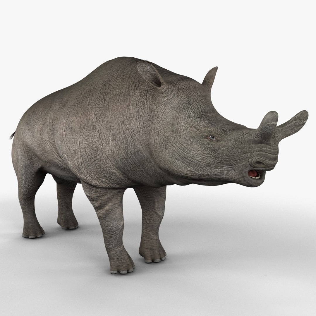 brontotherium 3ds https://p.turbosquid.com/ts-thumb/5j/PSEuxx/A9YEawmR/brontotherium_152/jpg/1374671436/1920x1080/fit_q87/aae66f47abee8eca178d0565b374081c265c8277/brontotherium_152.jpg