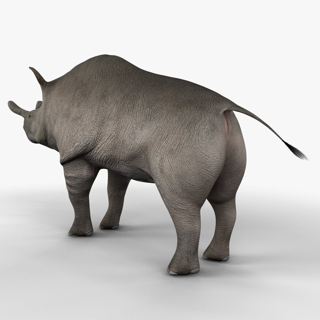 brontotherium 3ds https://p.turbosquid.com/ts-thumb/5j/PSEuxx/AKPhsMdA/brontotherium_155/jpg/1374671471/1920x1080/fit_q87/9b94baef2f45330f9dacf3d4a4de30e2221c068a/brontotherium_155.jpg