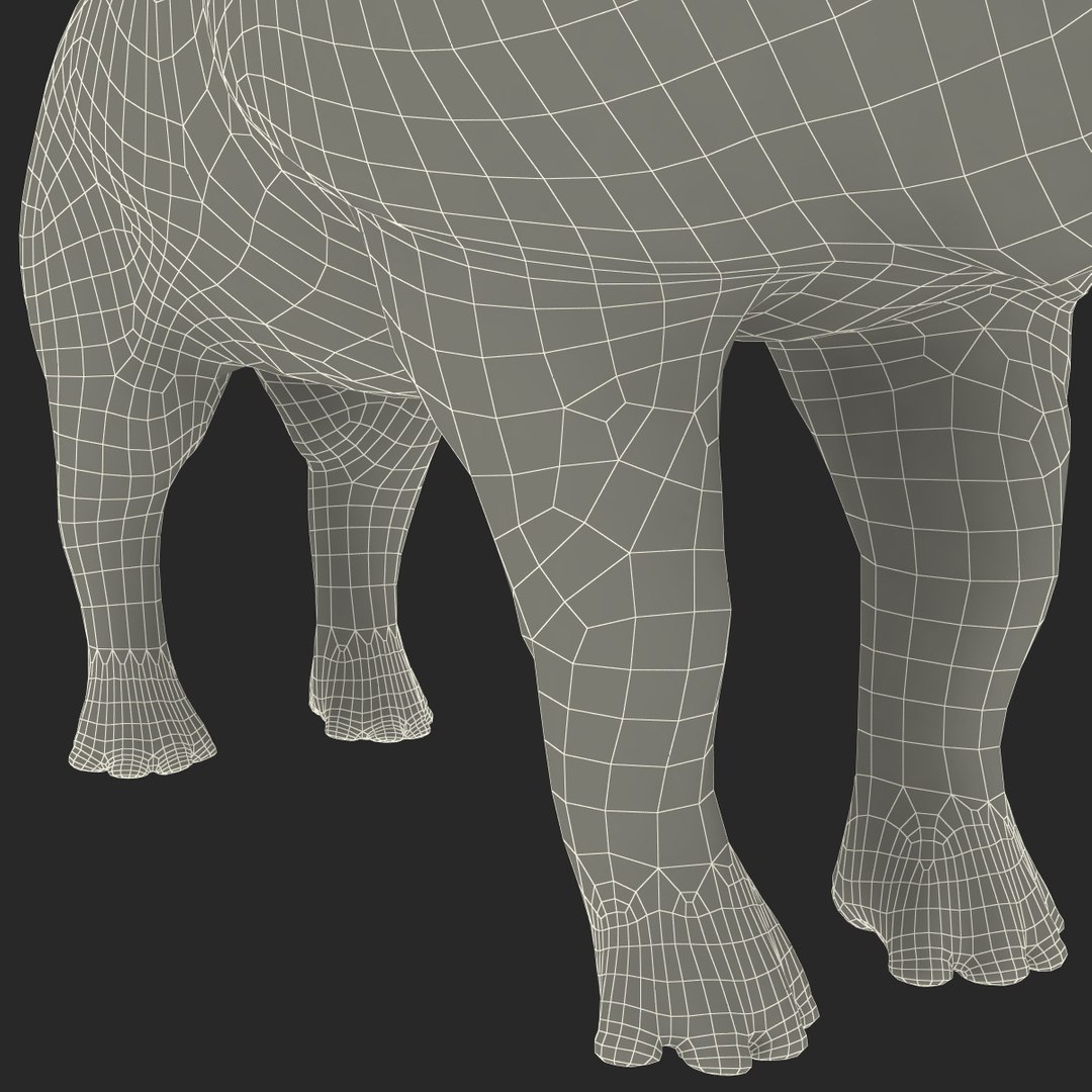 brontotherium 3ds https://p.turbosquid.com/ts-thumb/5j/PSEuxx/OCo6Xg5R/brontotherium_169/jpg/1374671624/1920x1080/fit_q87/71727cf89f1278f75c0d1c4eaa3ea08f78708eda/brontotherium_169.jpg