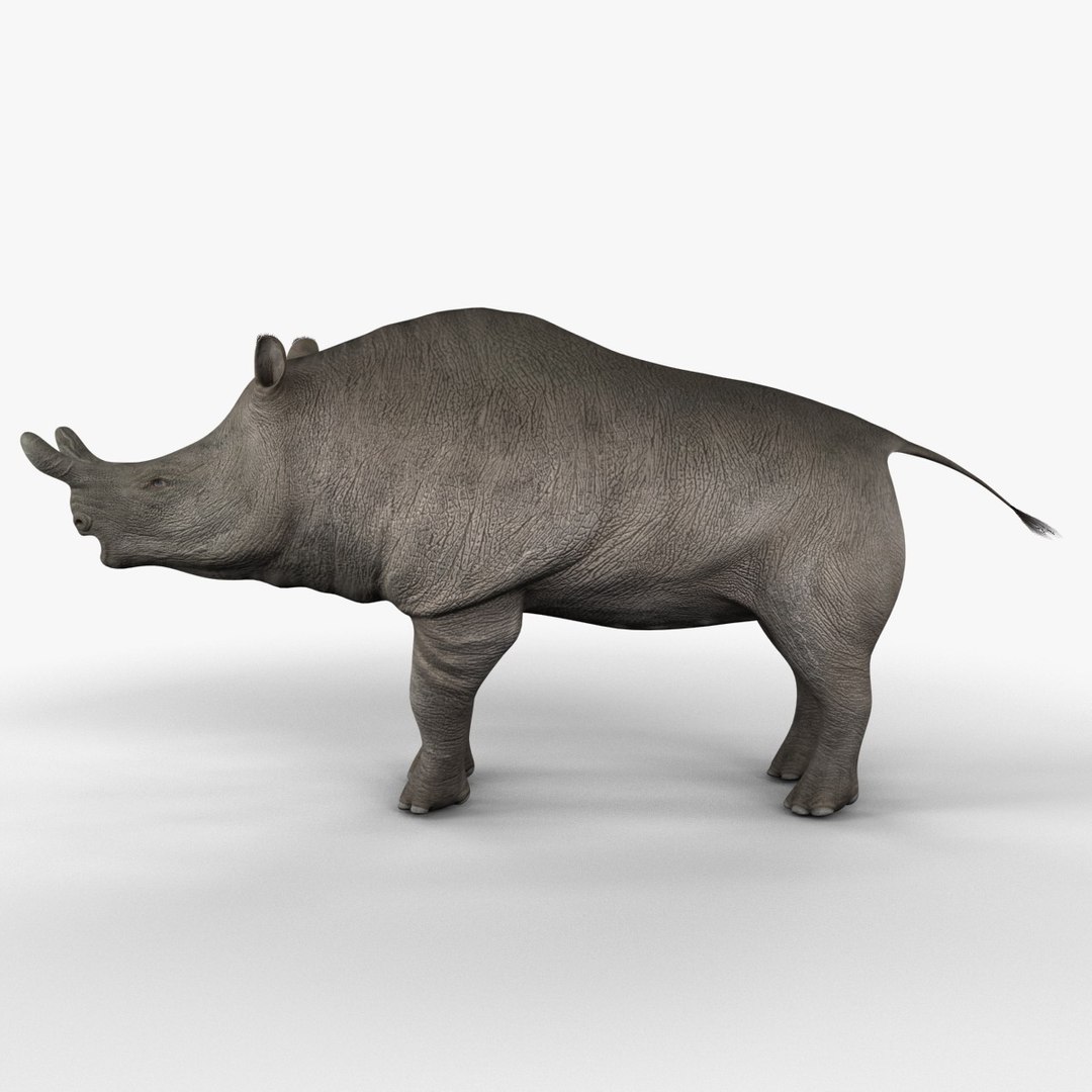 brontotherium 3ds https://p.turbosquid.com/ts-thumb/5j/PSEuxx/QwbBELRt/brontotherium_150/jpg/1374671413/1920x1080/fit_q87/4c67d6ef69ca0ae1cc5186397174ae778b2ebf0a/brontotherium_150.jpg