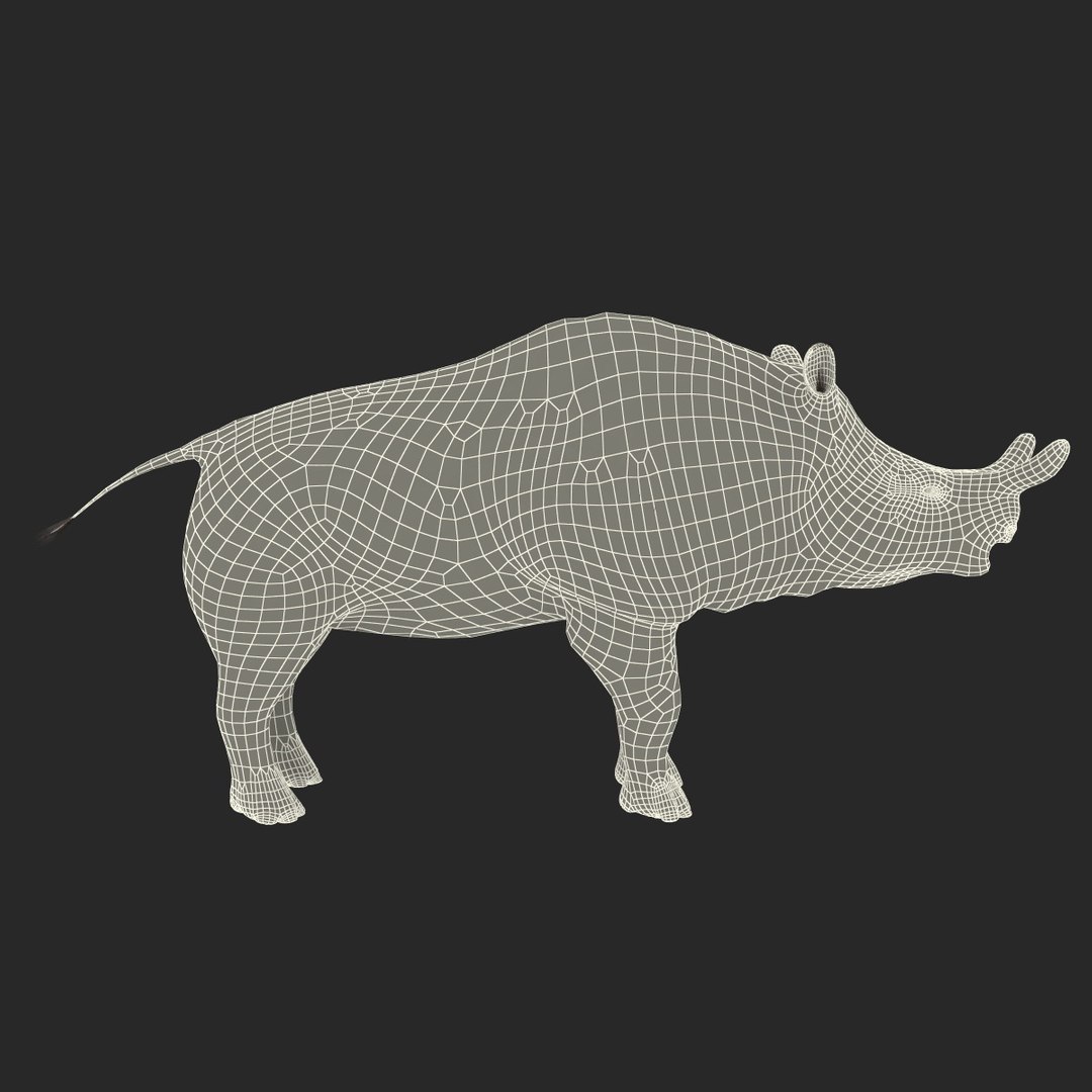brontotherium 3ds https://p.turbosquid.com/ts-thumb/5j/PSEuxx/UatBT7MZ/brontotherium_164/jpg/1374671562/1920x1080/fit_q87/c32a55fee2e84e59cc545bfcdef4c8abfd932ac4/brontotherium_164.jpg