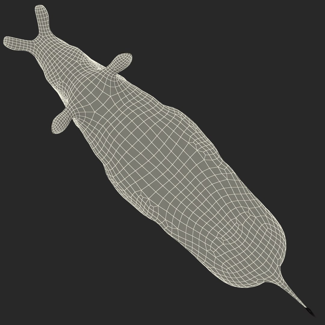 brontotherium 3ds https://p.turbosquid.com/ts-thumb/5j/PSEuxx/Zv2ewDNl/brontotherium_167/jpg/1374671597/1920x1080/fit_q87/e3bad627f0c0be32f4cec074dde676989fbc2fc3/brontotherium_167.jpg